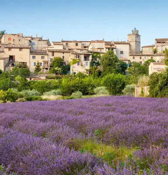 vaucluse