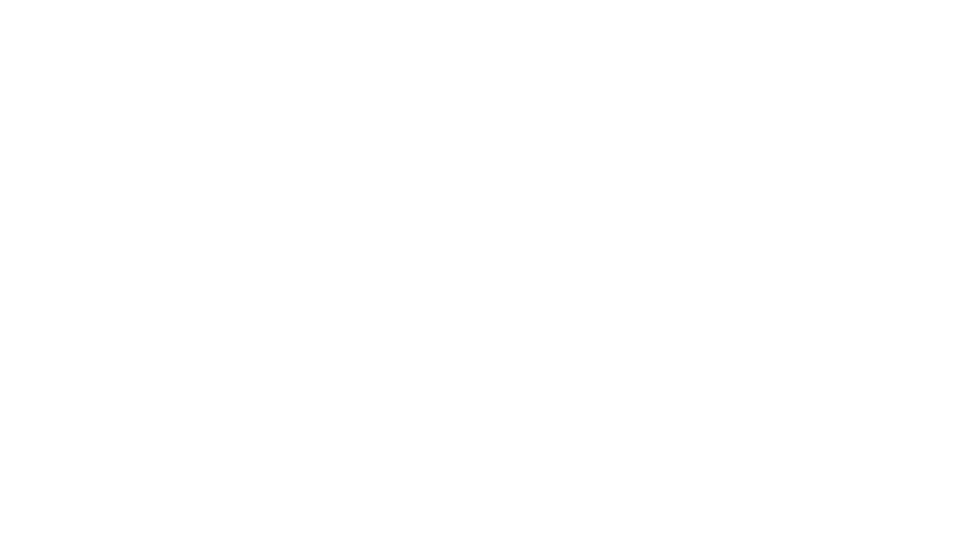 BVTC professionnel du transport